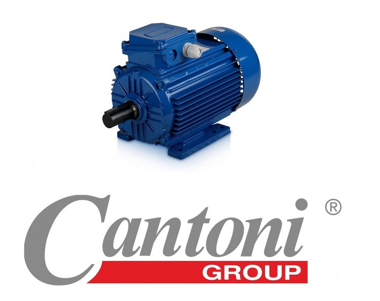 электродвигатель 2SIE 250M4 стандартный трёхфазный электродвигатель Cantoni Group
