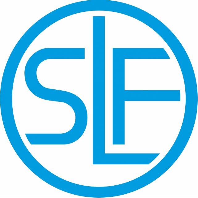 шпиндель SFIV 100x315-R шпиндель SLF