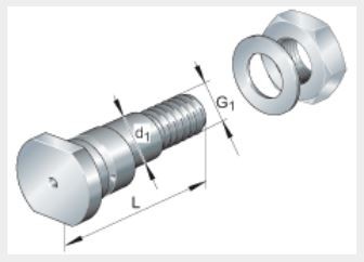 цапфа LFE40x107-A1 цапфа LFE40x107-A1 эксцентрические цапфы для направляющих роликов INA